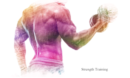 Вернемся к силовым тренировкам