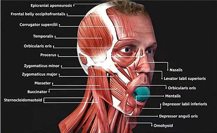 Улучшите индекс счастья-Производитель тренажеров Jewline - Приходите и выбирайте нас