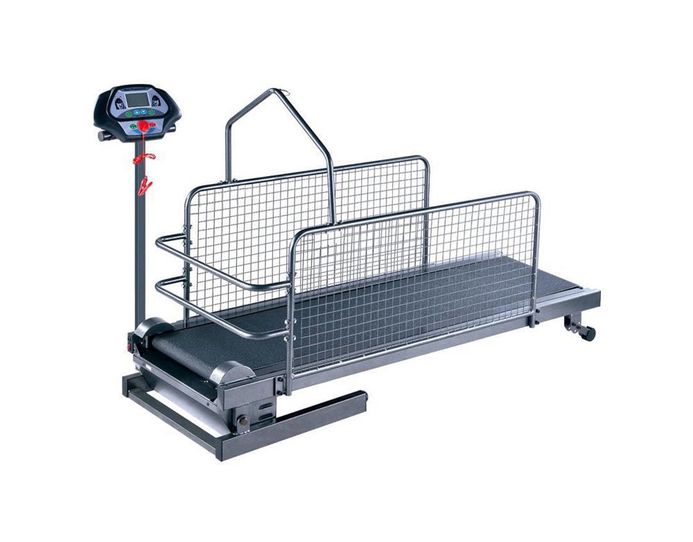 Беговая дорожка для домашних собак Беговая дорожка для домашних собак