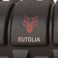 Изготовленный на заказ логотип и бренды пенопластовых роликов