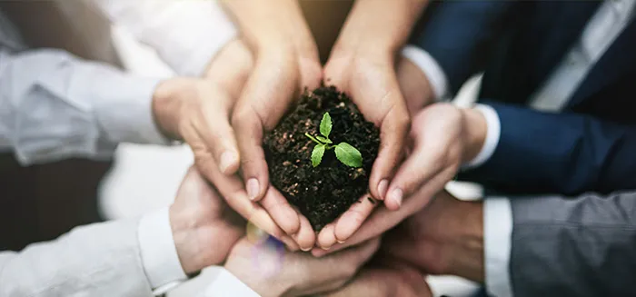 Возобновляемые источники энергии